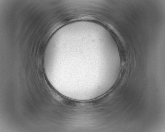 X0000078021281200611251520