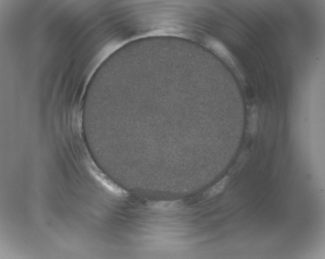 X0000078021284200611251520