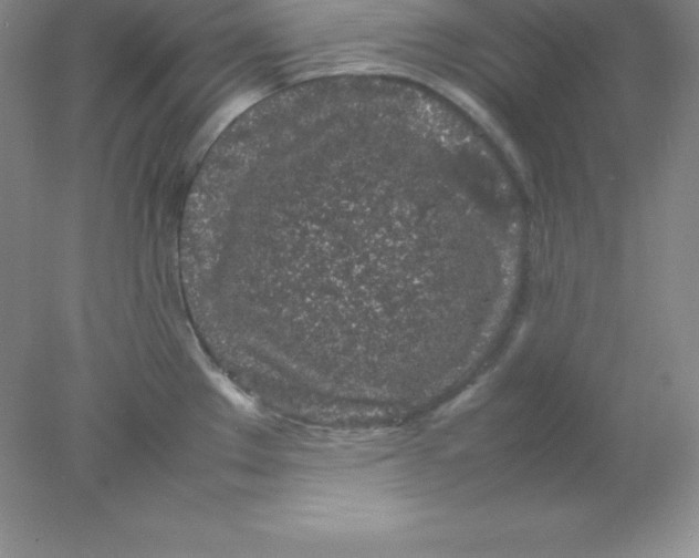 X0000078021289200611251520