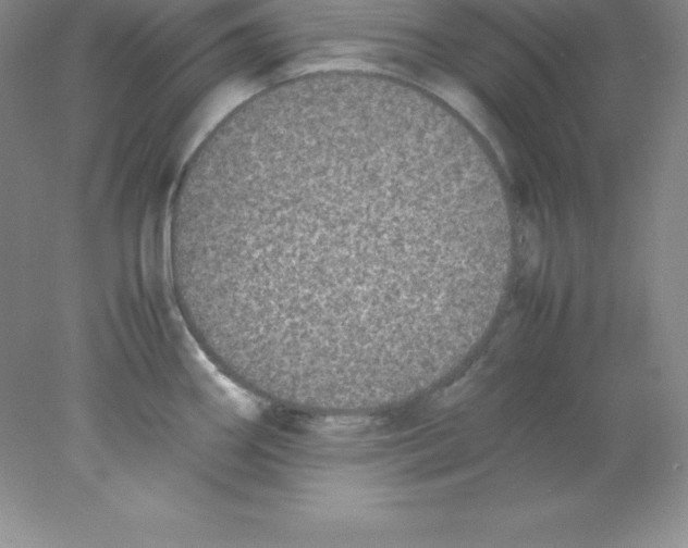 X0000078021290200611251520