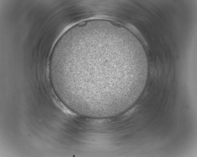 X0000078021292200611251520