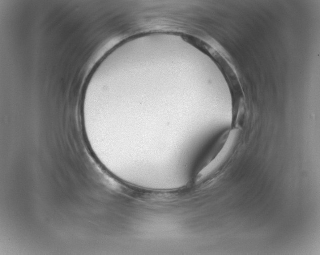 X0000078021293200611251520