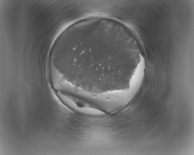 X0000078021295200611251520