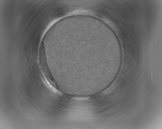 X0000078021296200611251520