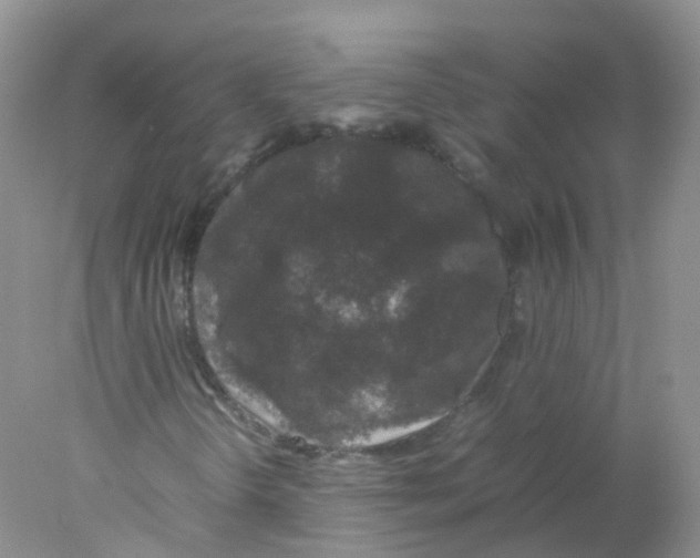 X0000078021298200611251519