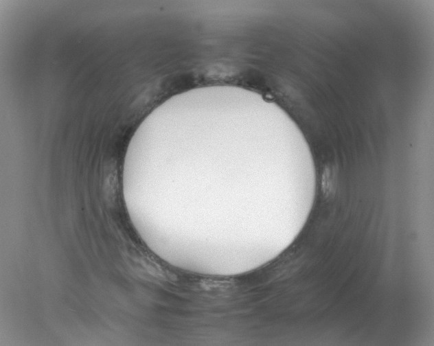 X0000078021299200611251519