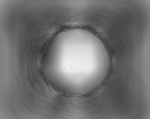 X0000078021300200611251519