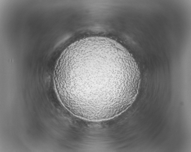 X0000078021302200611251519