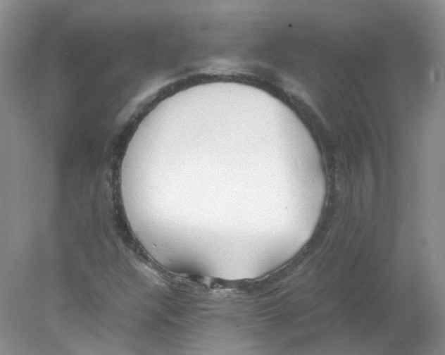 X0000078021304200611251519