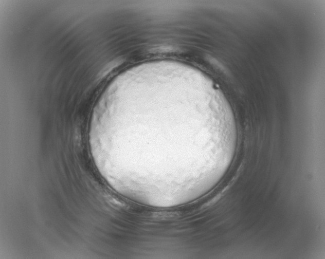 X0000078021305200611251519