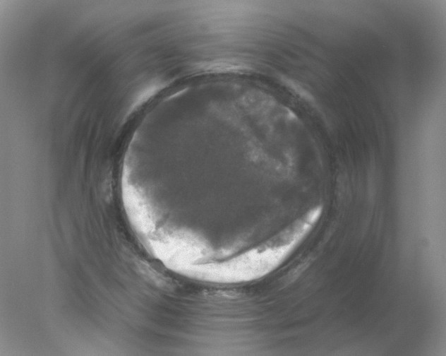 X0000078021306200611251519