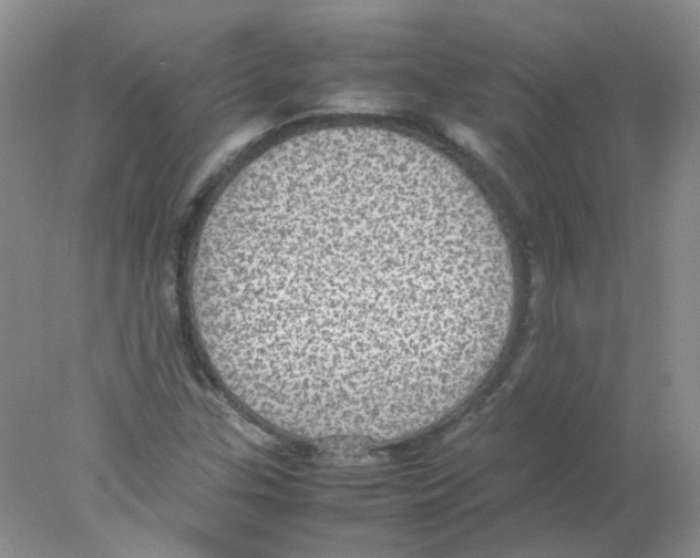 X0000078021307200611251519