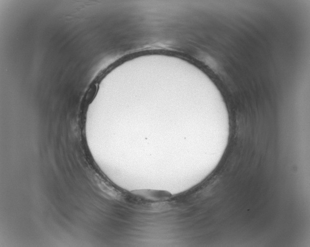 X0000078021308200611251519