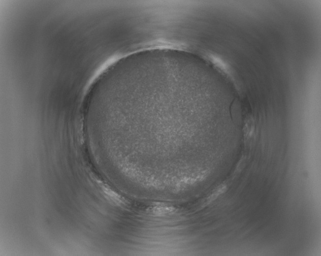 X0000078021310200611251519