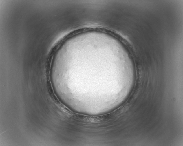 X0000078021311200611251519