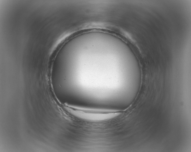 X0000078021312200611251519