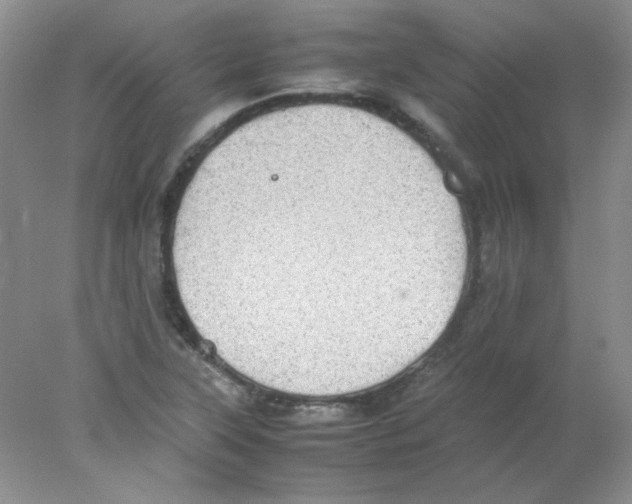 X0000078021315200611251519