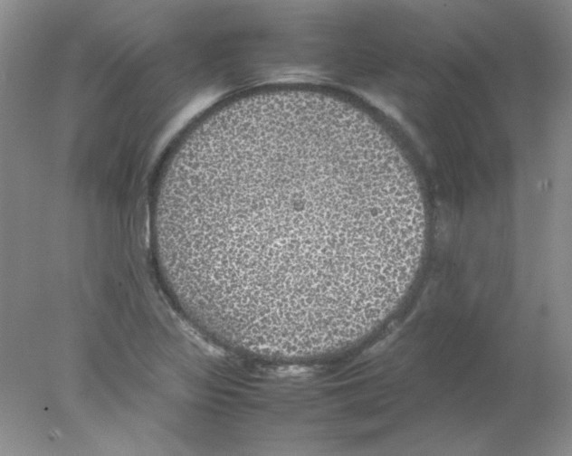 X0000078021317200611251519