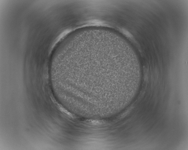 X0000078021318200611251519