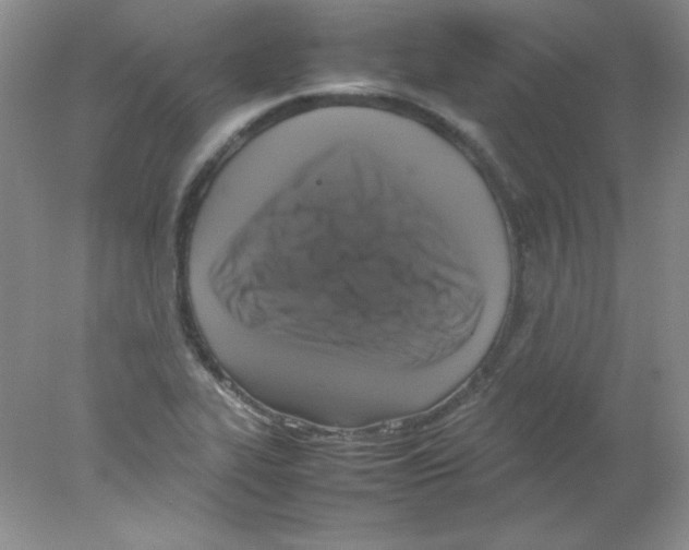 X0000078021319200611251519