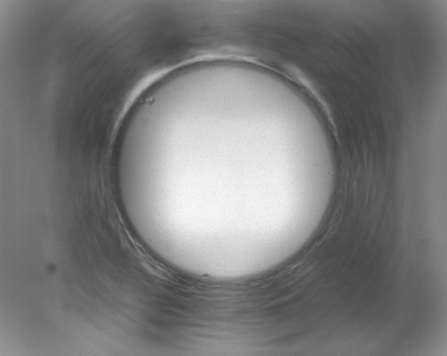 X0000078021320200611251519