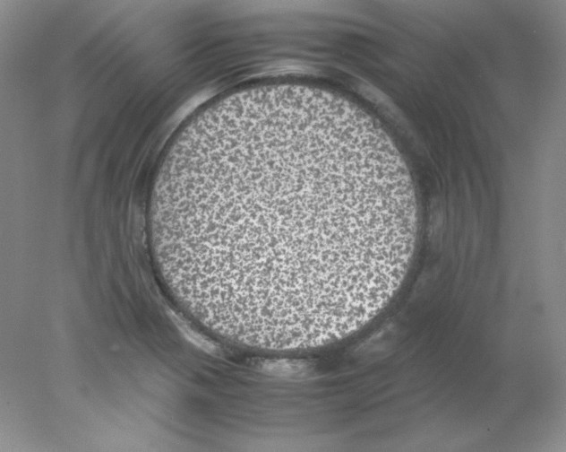 X0000078021321200611251519