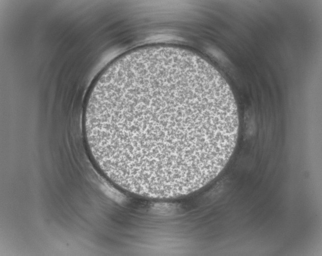 X0000078021322200611251519