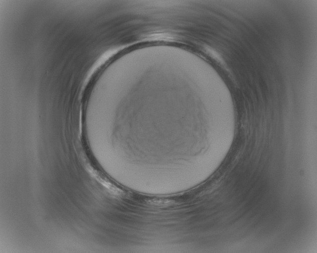 X0000078021323200611251519