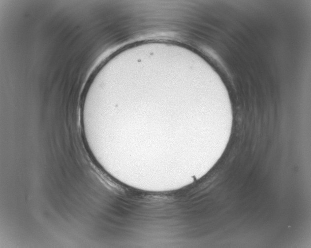 X0000078021324200611251519