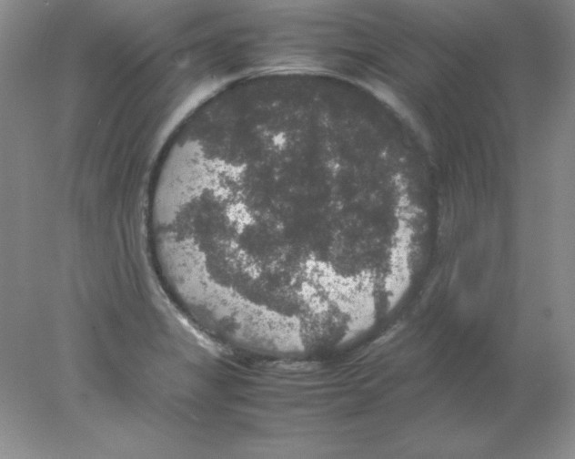 X0000078021325200611251519