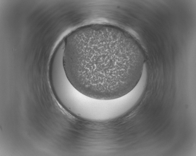 X0000078021326200611251519