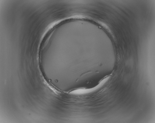 X0000078021327200611251519