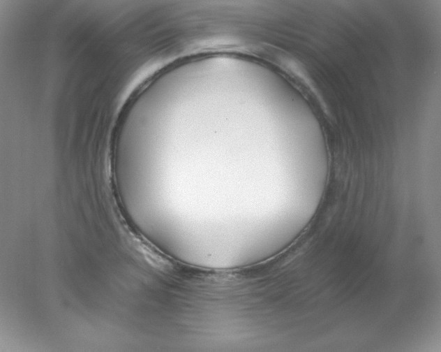 X0000078021328200611251519