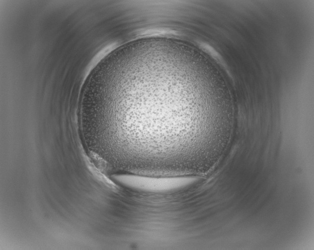 X0000078021330200611251520