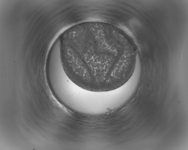 X0000078021331200611251520