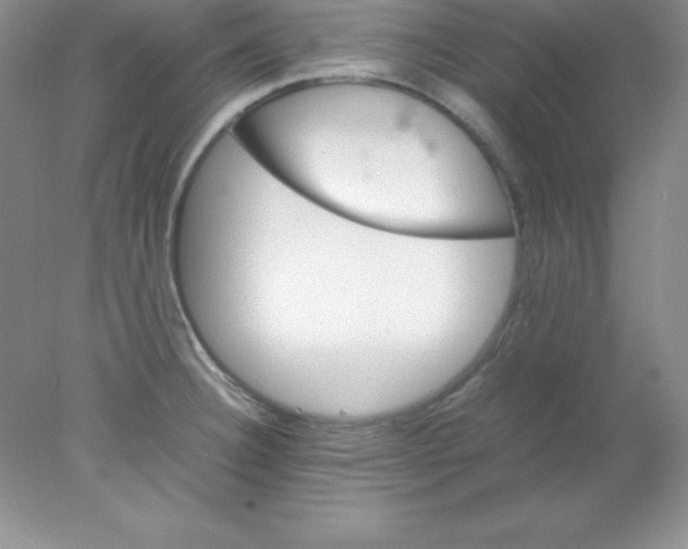 X0000078021332200611251520