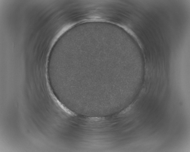 X0000078021333200611251520