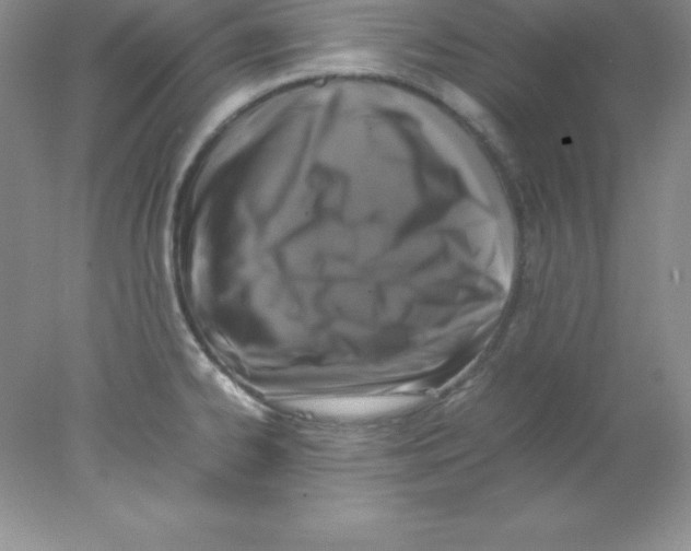 X0000078021334200611251520