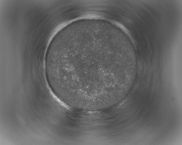 X0000078021335200611251520