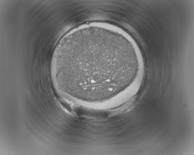 X0000078021337200611251520