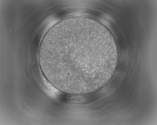 X0000078021338200611251520