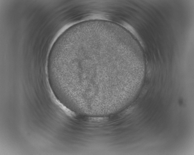 X0000078021339200611251520