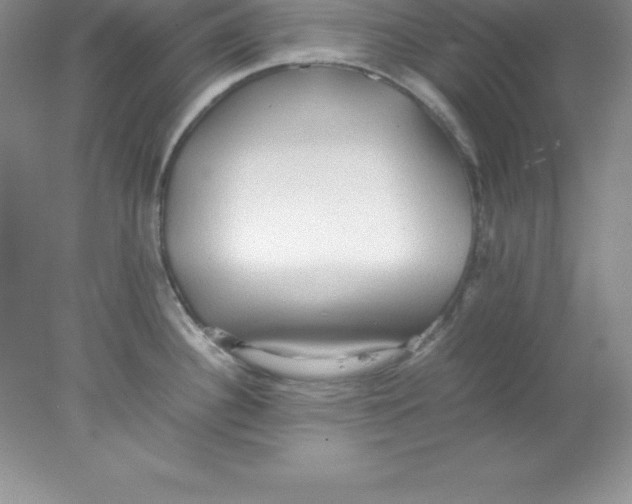 X0000078021340200611251520