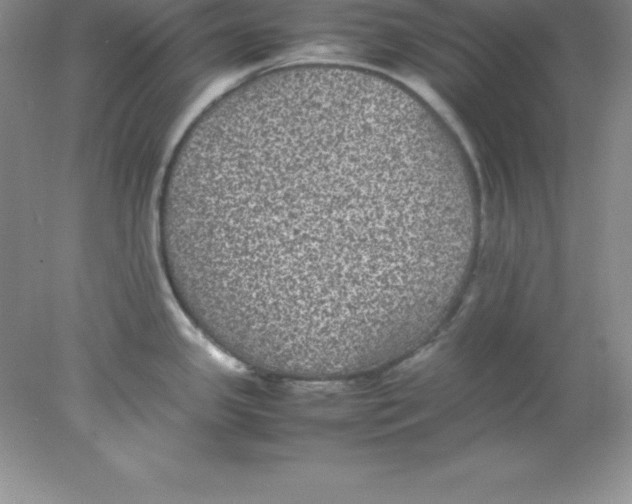 X0000078021341200611251520