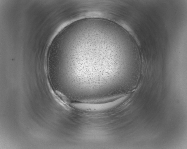 X0000078021342200611251520