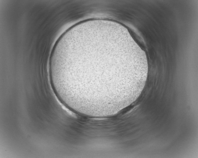 X0000078021343200611251520