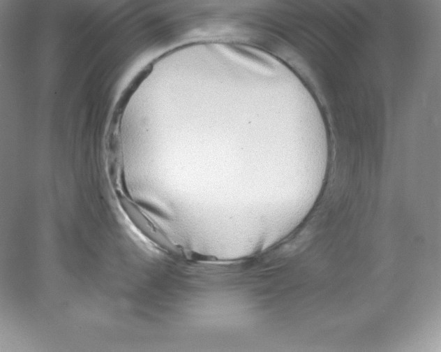 X0000078021344200611251520