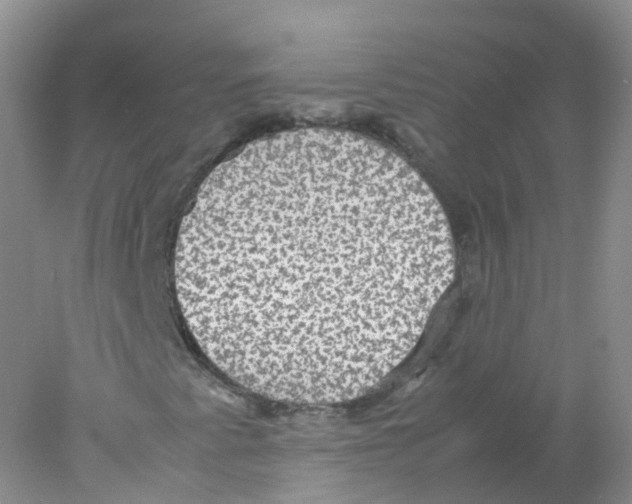 X0000078021345200611251519