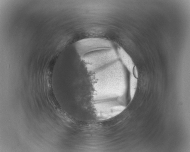 X0000078021346200611251519