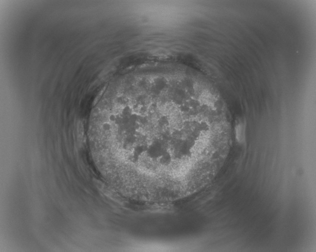 X0000078021347200611251519